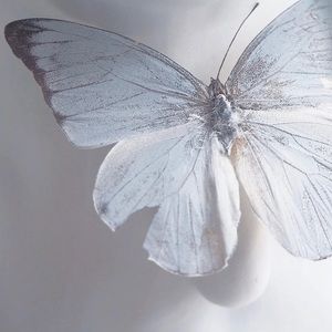 Meet your Posher, Iris